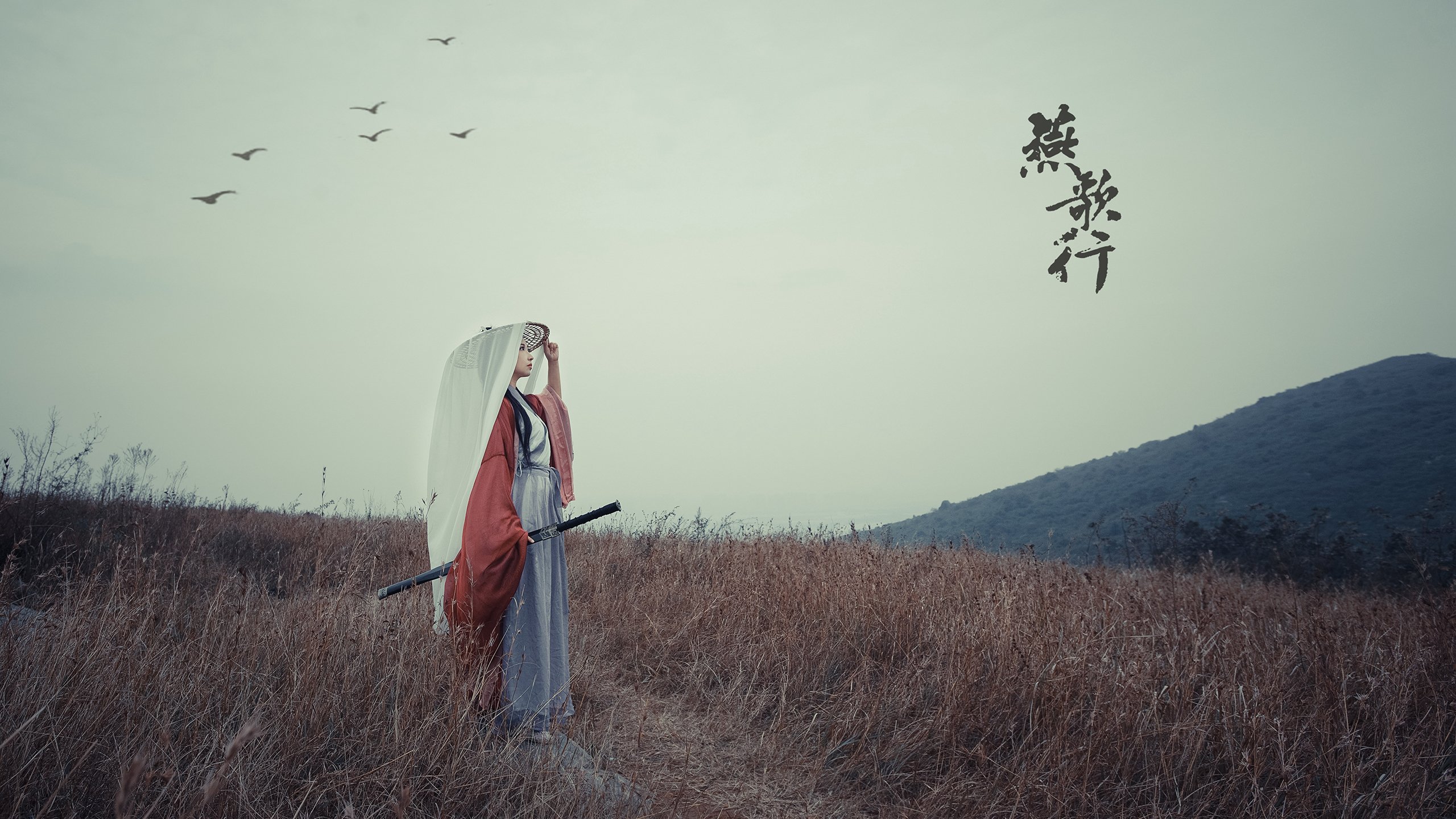“夜幕追逐：黑夜中的极速冲击”，夜幕追击背景故事