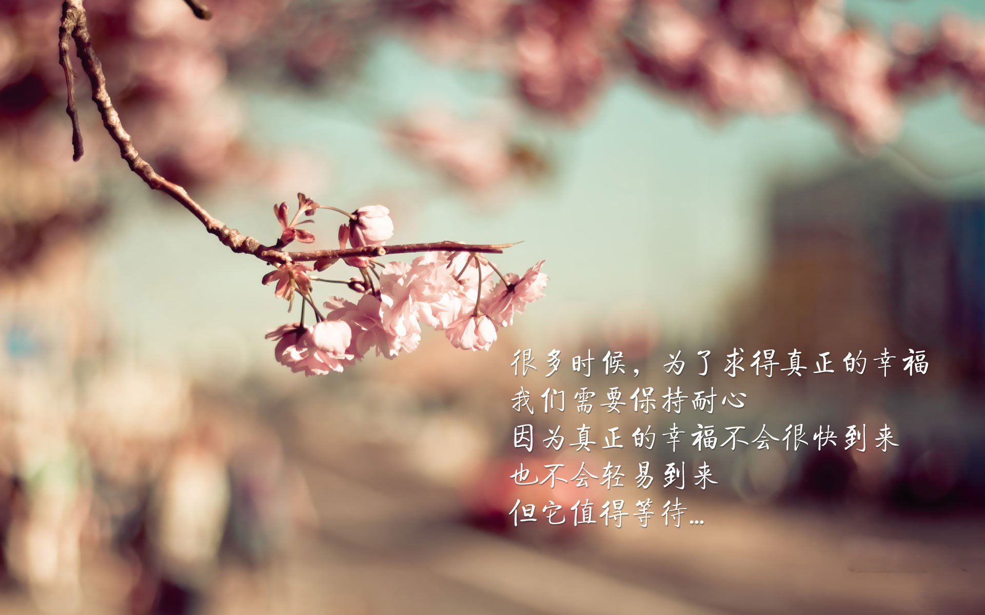 从“校园到国际”——中国青少年篮球国际交流正式启动，中国国际青少年篮球联盟