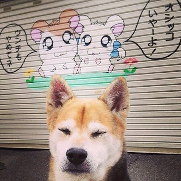 全国青少年足球裁判员“数字赋能+实战结合”训练正式启动，行业公平更有保障