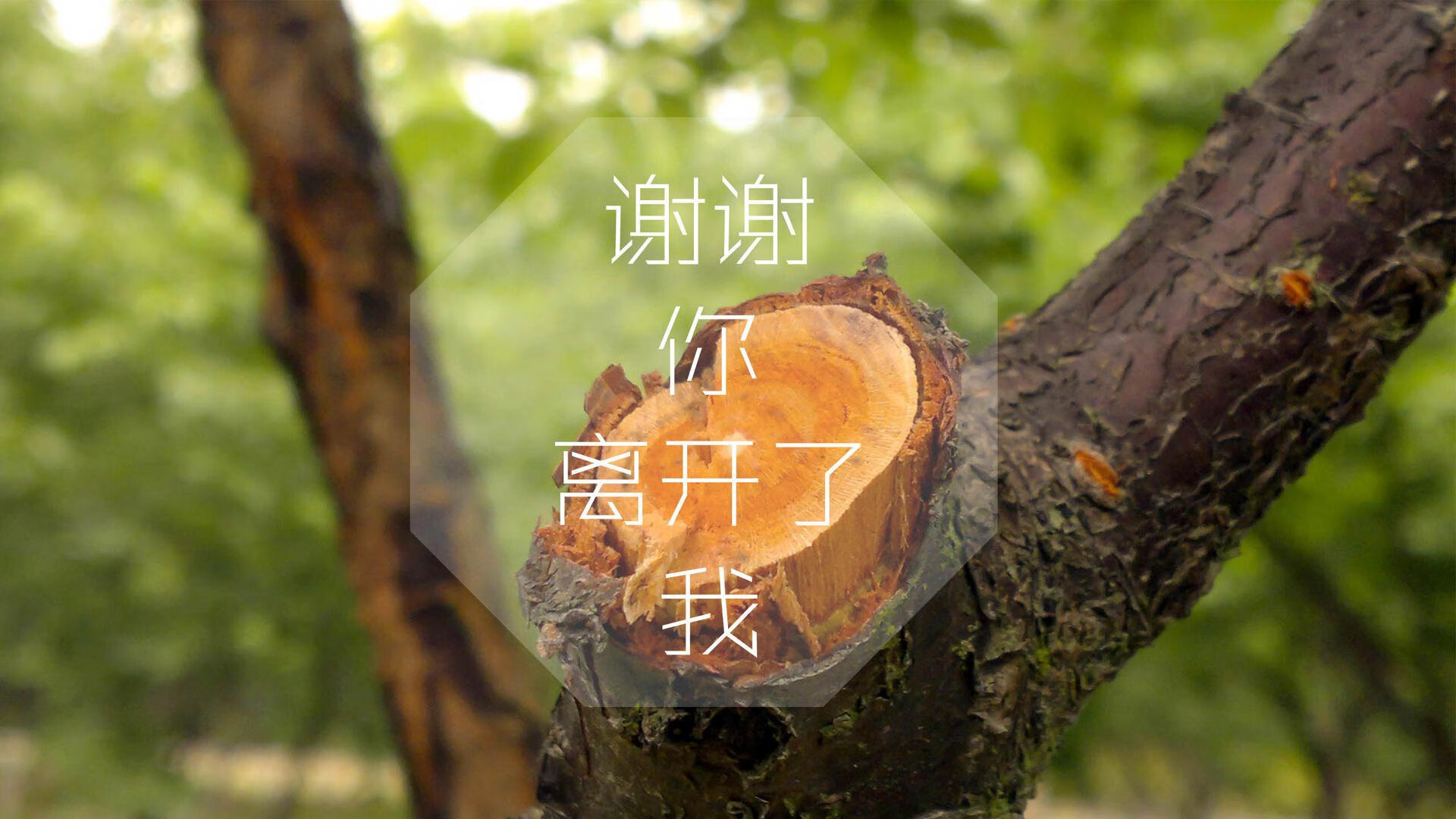 从德比到焦点战：五大联赛主场比赛盘点，五大联赛的德比各有哪些